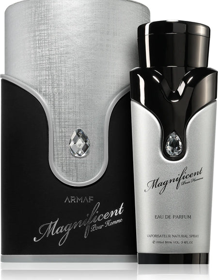 Magnificent Pour Homme Armaf