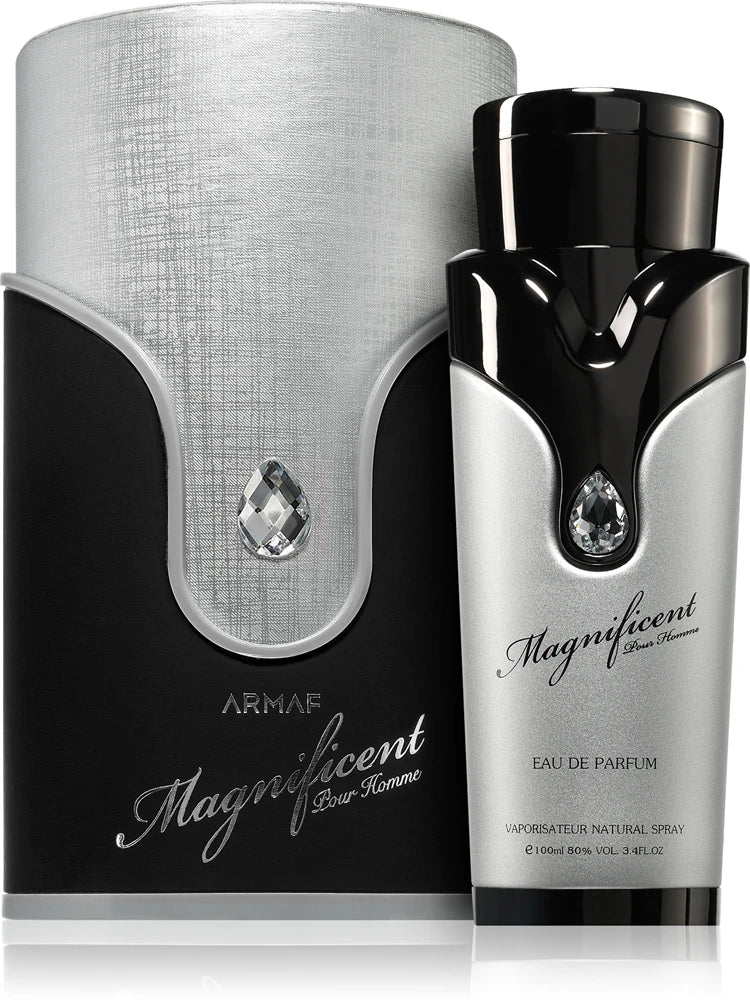Magnificent Pour Homme Armaf